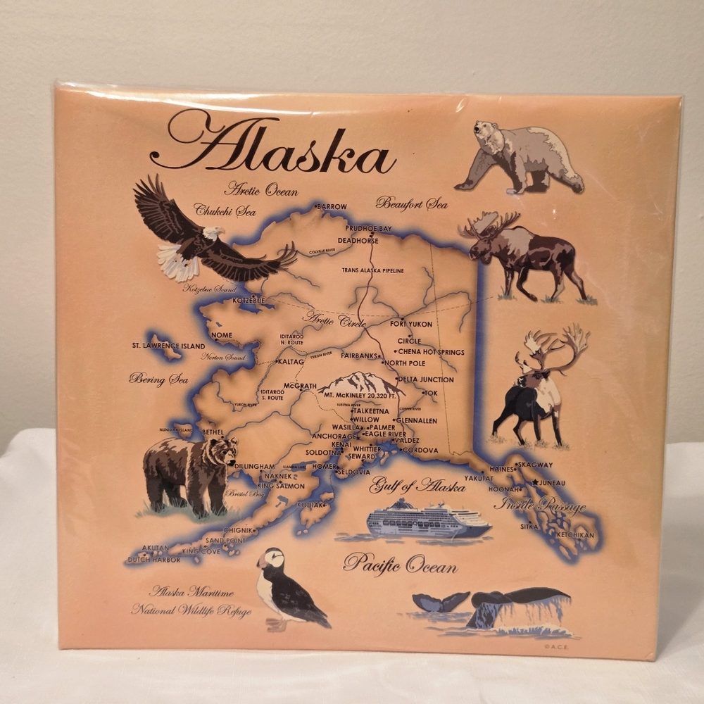 A.C.E Alaska Scrapbook Postbound 12X12 10 Pages Photo Album Used Good Condition
